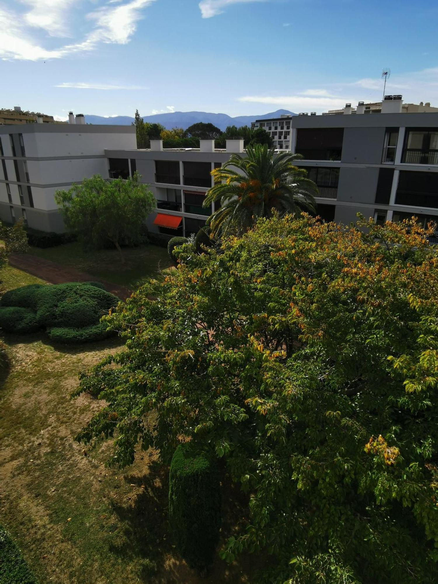 Appartement Refait A Neuf, Climatise Avec Vue Mer Et Montagne, Avec Place De Parking Privative Saint-Cyprien  Exterior photo